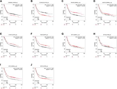 NcRNA-mediated upregulation of CAMK2N1 is associated with poor prognosis and tumor immune infiltration of gastric cancer